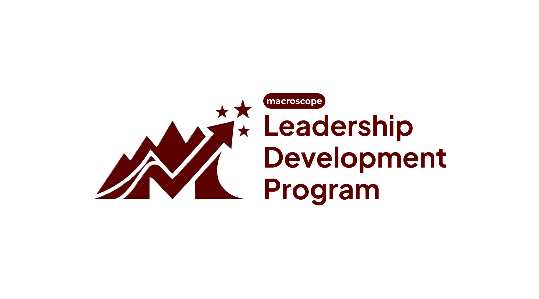 Macroscope Leadership Development Program